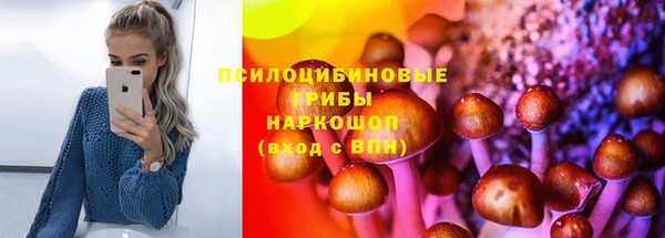 стаф Дмитров