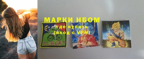 стаф Дмитров