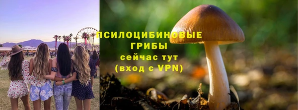 марки lsd Дмитриев
