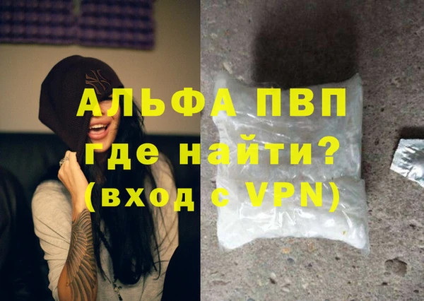 стаф Дмитров