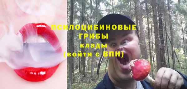 гашиш Горнозаводск