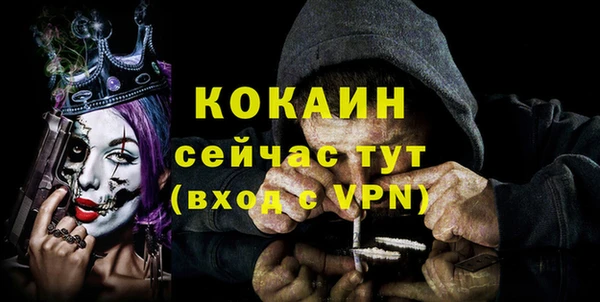 бошки Горняк