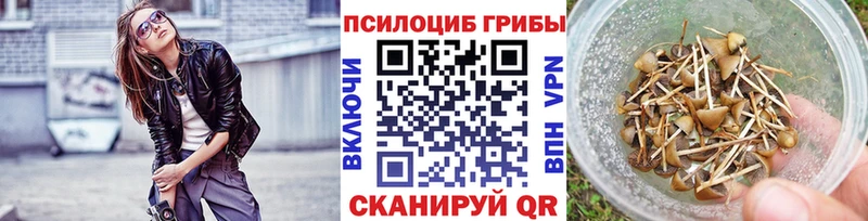 Купить закладки  Оса  Галлюциногенные грибы мухоморы 